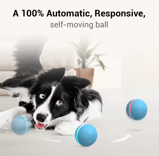 Cheerble Durable Active PC Rolling Wicked Balls Modern