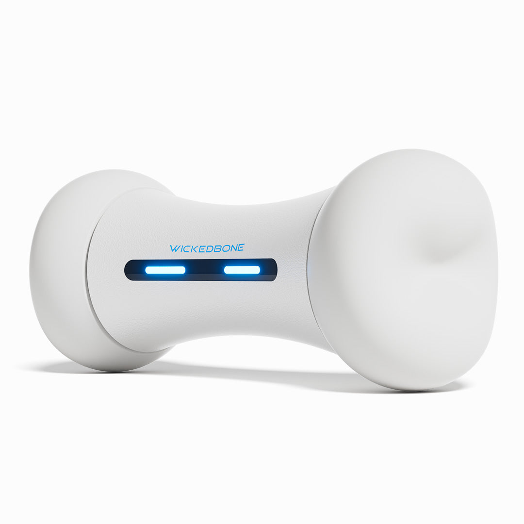 Cheerble Smart Indestructible Interactive Walking Pet Puppy Dog Chew Bones Toys Funny Modern Fashion Sustainable PC Material