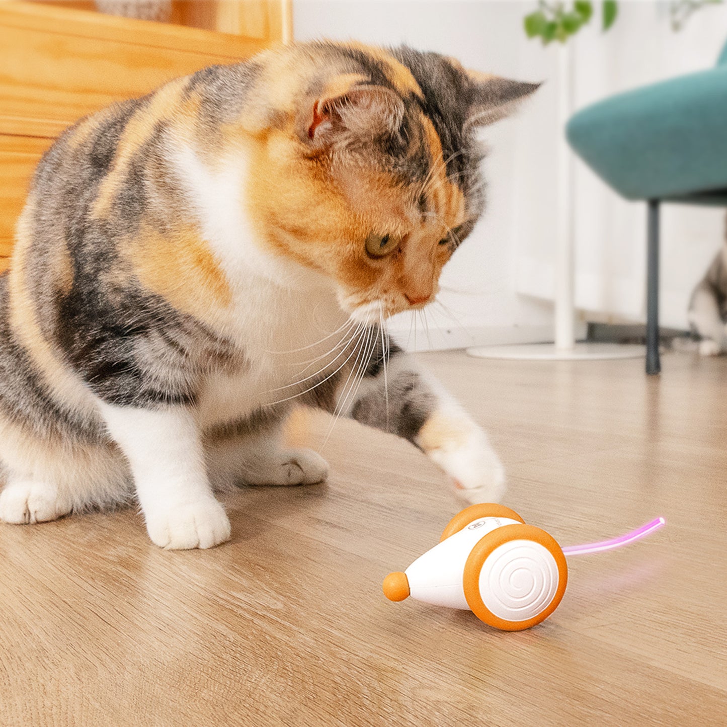 Cheerble Electric Smart Interactive Pet Toys Self - Orange